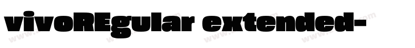 vivoREgular extended字体转换